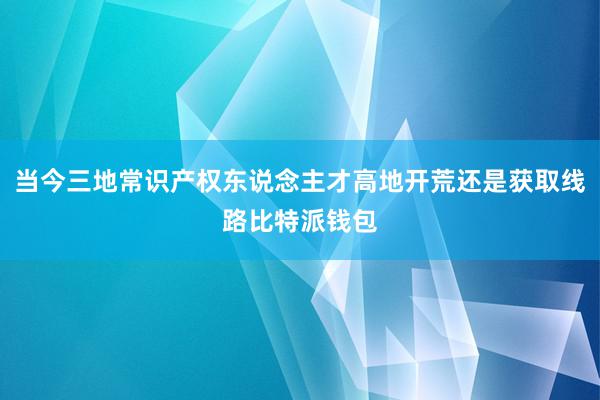 当今三地常识产权东说念主才高地开荒还是获取线路比特派钱包