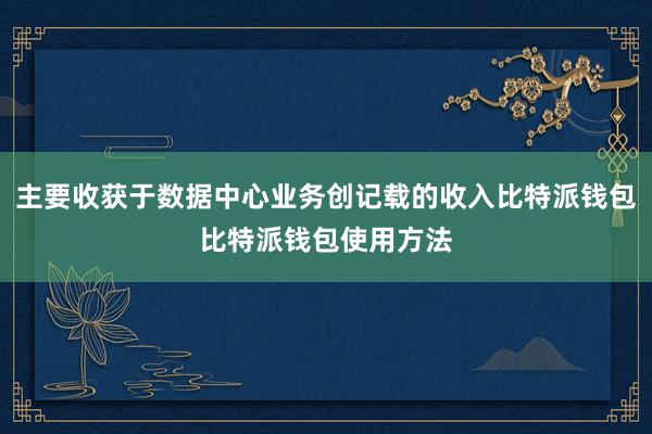 主要收获于数据中心业务创记载的收入比特派钱包比特派钱包使用方法