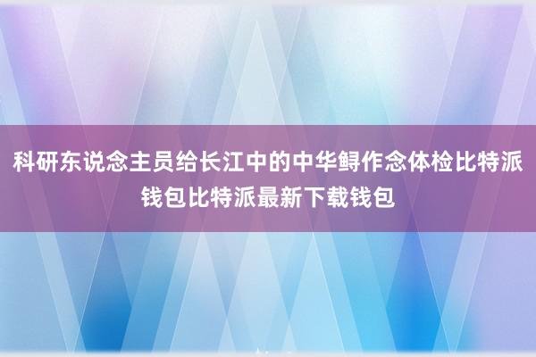 科研东说念主员给长江中的中华鲟作念体检比特派钱包比特派最新下载钱包