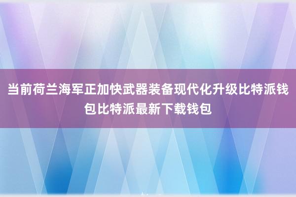 当前荷兰海军正加快武器装备现代化升级比特派钱包比特派最新下载钱包