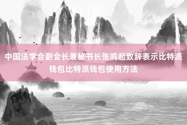 中国法学会副会长兼秘书长张鸣起致辞表示比特派钱包比特派钱包使用方法