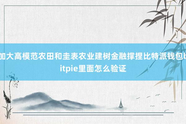 加大高模范农田和圭表农业建树金融撑捏比特派钱包bitpie里面怎么验证