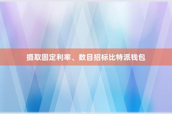 摄取固定利率、数目招标比特派钱包