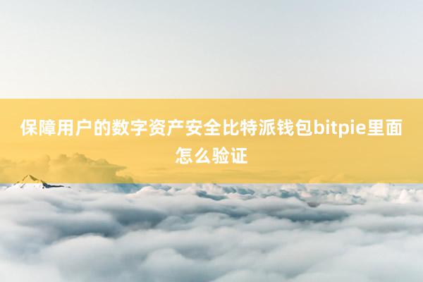 保障用户的数字资产安全比特派钱包bitpie里面怎么验证