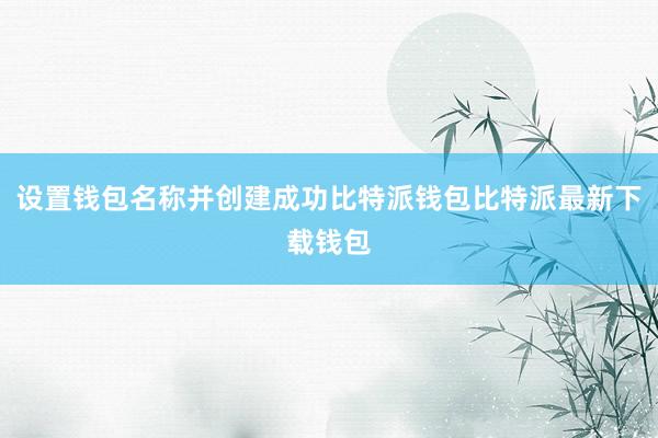 设置钱包名称并创建成功比特派钱包比特派最新下载钱包