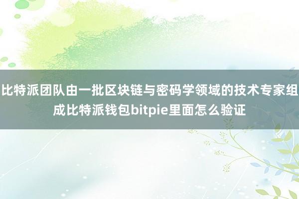 比特派团队由一批区块链与密码学领域的技术专家组成比特派钱包bitpie里面怎么验证