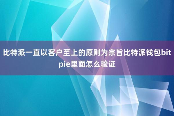 比特派一直以客户至上的原则为宗旨比特派钱包bitpie里面怎么验证