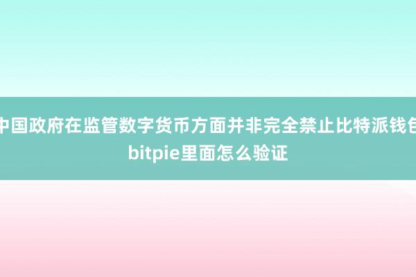 中国政府在监管数字货币方面并非完全禁止比特派钱包bitpie里面怎么验证