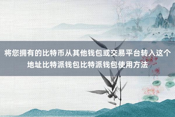 将您拥有的比特币从其他钱包或交易平台转入这个地址比特派钱包比特派钱包使用方法