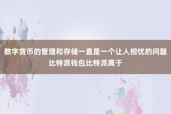 数字货币的管理和存储一直是一个让人担忧的问题比特派钱包比特派属于