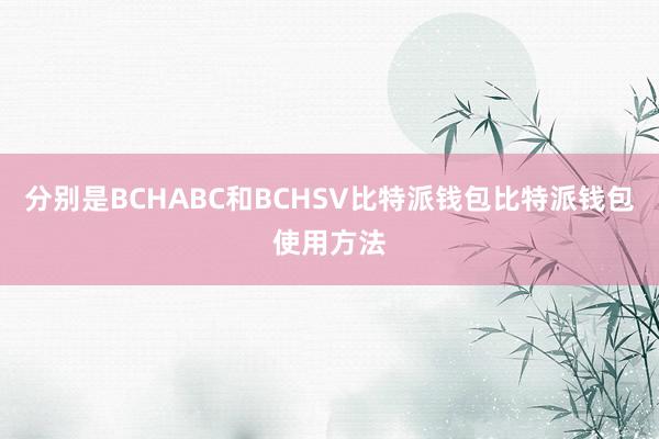 分别是BCHABC和BCHSV比特派钱包比特派钱包使用方法