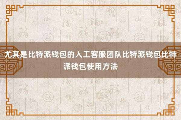 尤其是比特派钱包的人工客服团队比特派钱包比特派钱包使用方法