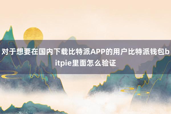 对于想要在国内下载比特派APP的用户比特派钱包bitpie里面怎么验证