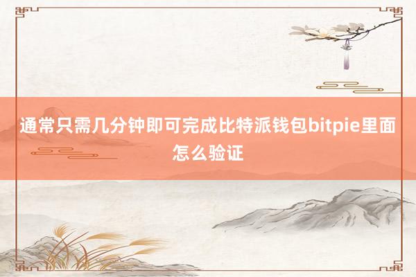 通常只需几分钟即可完成比特派钱包bitpie里面怎么验证