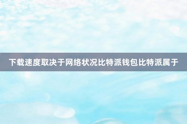 下载速度取决于网络状况比特派钱包比特派属于