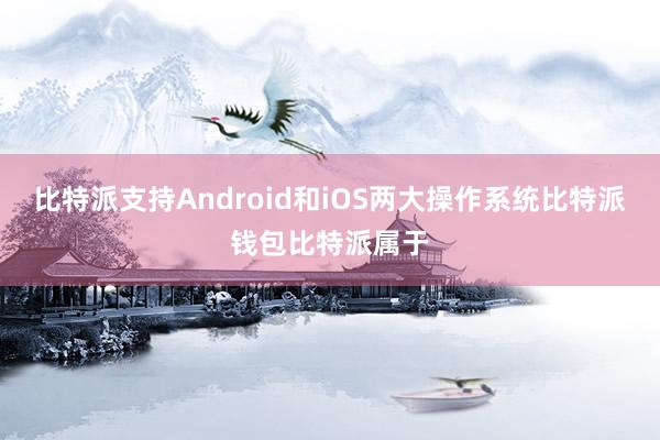 比特派支持Android和iOS两大操作系统比特派钱包比特派属于