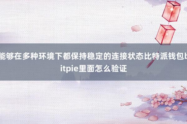 能够在多种环境下都保持稳定的连接状态比特派钱包bitpie里面怎么验证