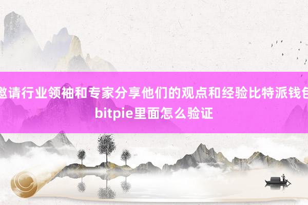 邀请行业领袖和专家分享他们的观点和经验比特派钱包bitpie里面怎么验证