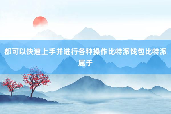 都可以快速上手并进行各种操作比特派钱包比特派属于