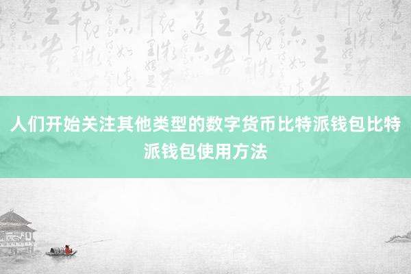 人们开始关注其他类型的数字货币比特派钱包比特派钱包使用方法