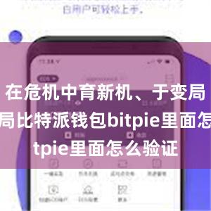 在危机中育新机、于变局中开新局比特派钱包bitpie里面怎么验证