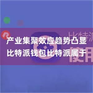 产业集聚效应趋势凸显比特派钱包比特派属于