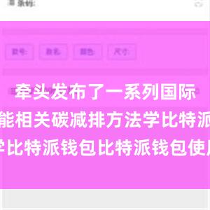 牵头发布了一系列国际标准和氢能相关碳减排方法学比特派钱包比特派钱包使用方法