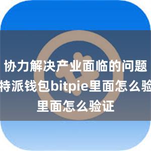 协力解决产业面临的问题比特派钱包bitpie里面怎么验证