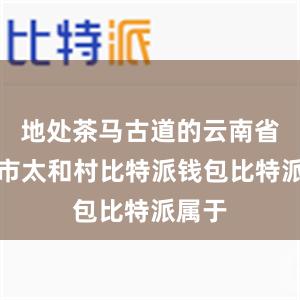 地处茶马古道的云南省普洱市太和村比特派钱包比特派属于