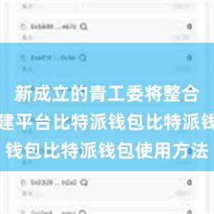 新成立的青工委将整合资源、搭建平台比特派钱包比特派钱包使用方法