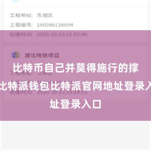比特币自己并莫得施行的撑握比特派钱包比特派官网地址登录入口